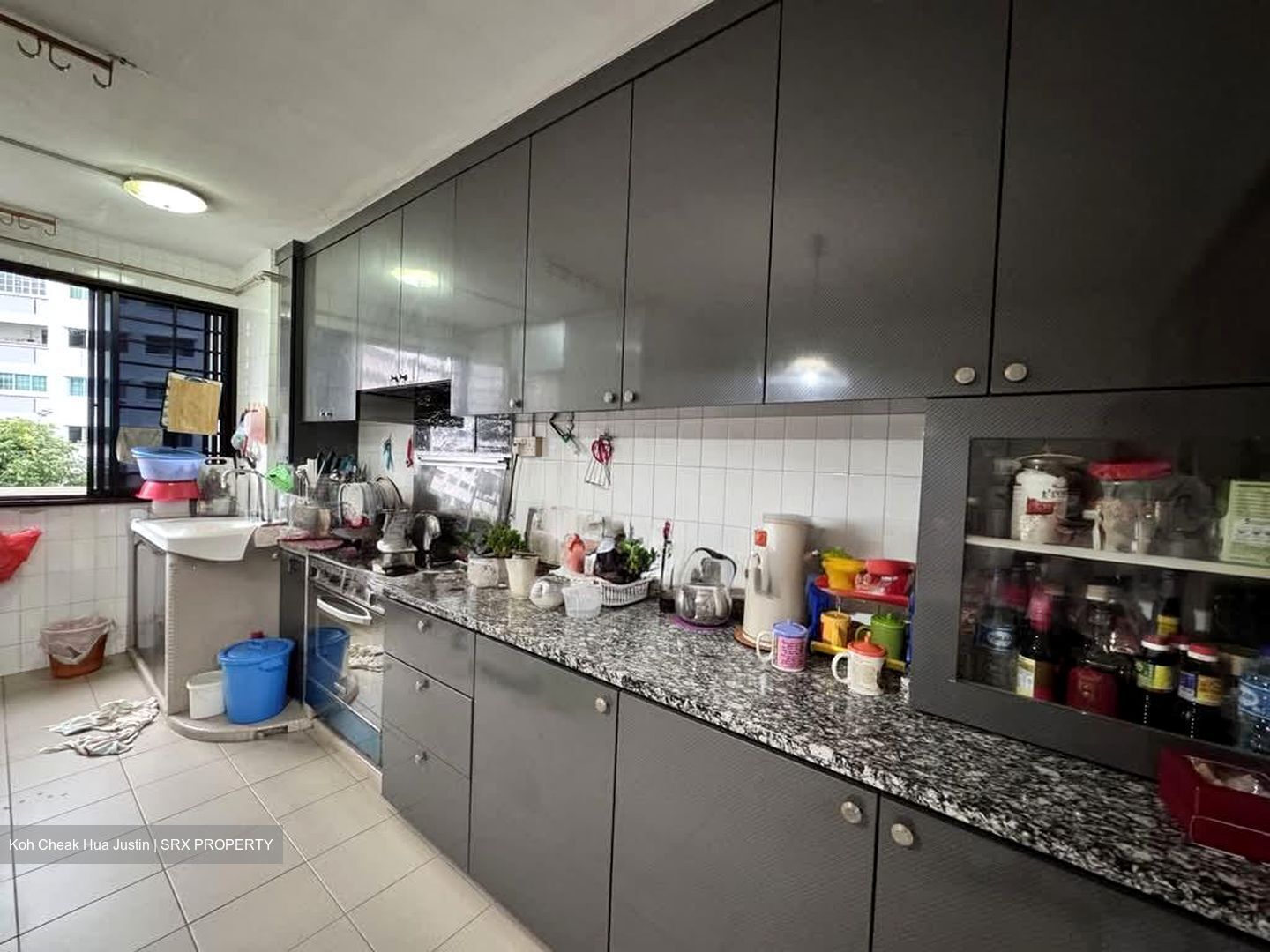Blk 203 Petir Road (Bukit Panjang), HDB 5 Rooms #531954061